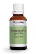 Eukalyptus Radiata ätherisches Öl